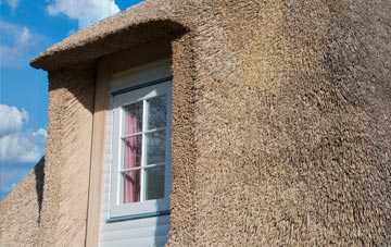Mawson Green thatch roof disadvantages